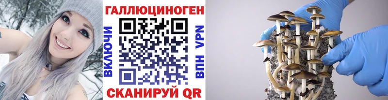 где продают   MEGA онион  Галлюциногенные грибы прущие грибы  Исилькуль 